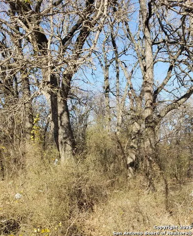 11929 Brookvalley Balch Springs, TX 75180