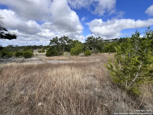 608 Rosemary Ridge Bulverde, TX 78163