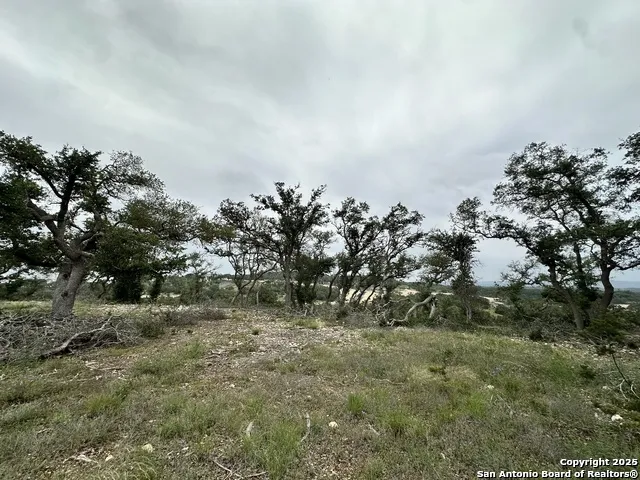 675 Butler Oaks Bulverde, TX 78163