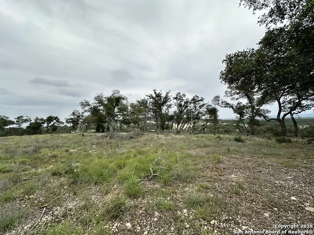 675 Butler Oaks Bulverde, TX 78163