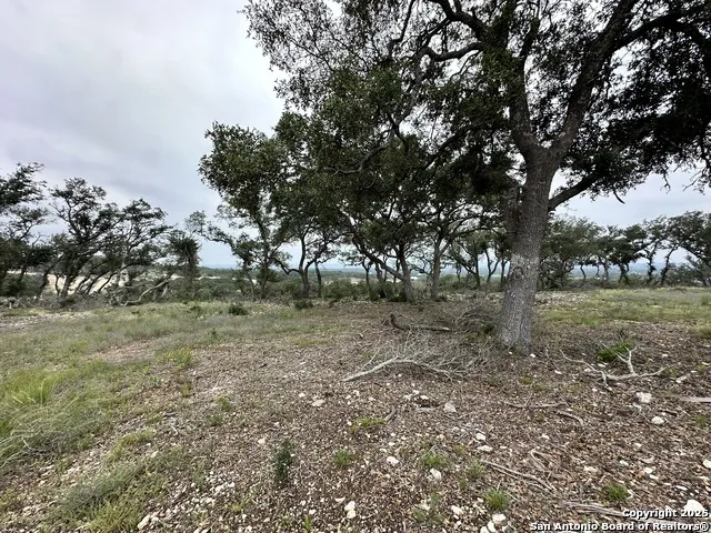 675 Butler Oaks Bulverde, TX 78163