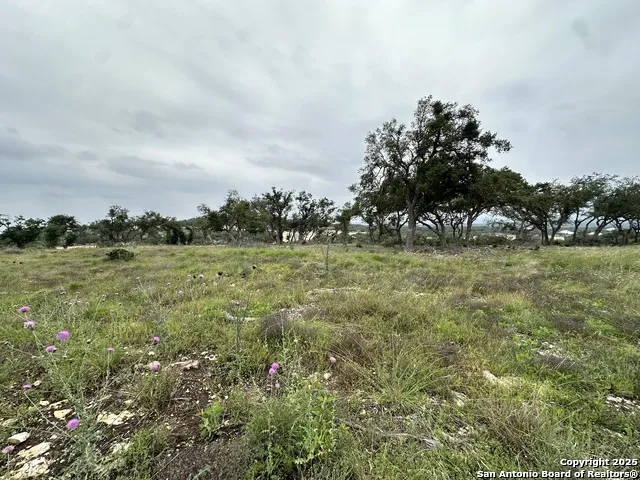 675 Butler Oaks Bulverde, TX 78163
