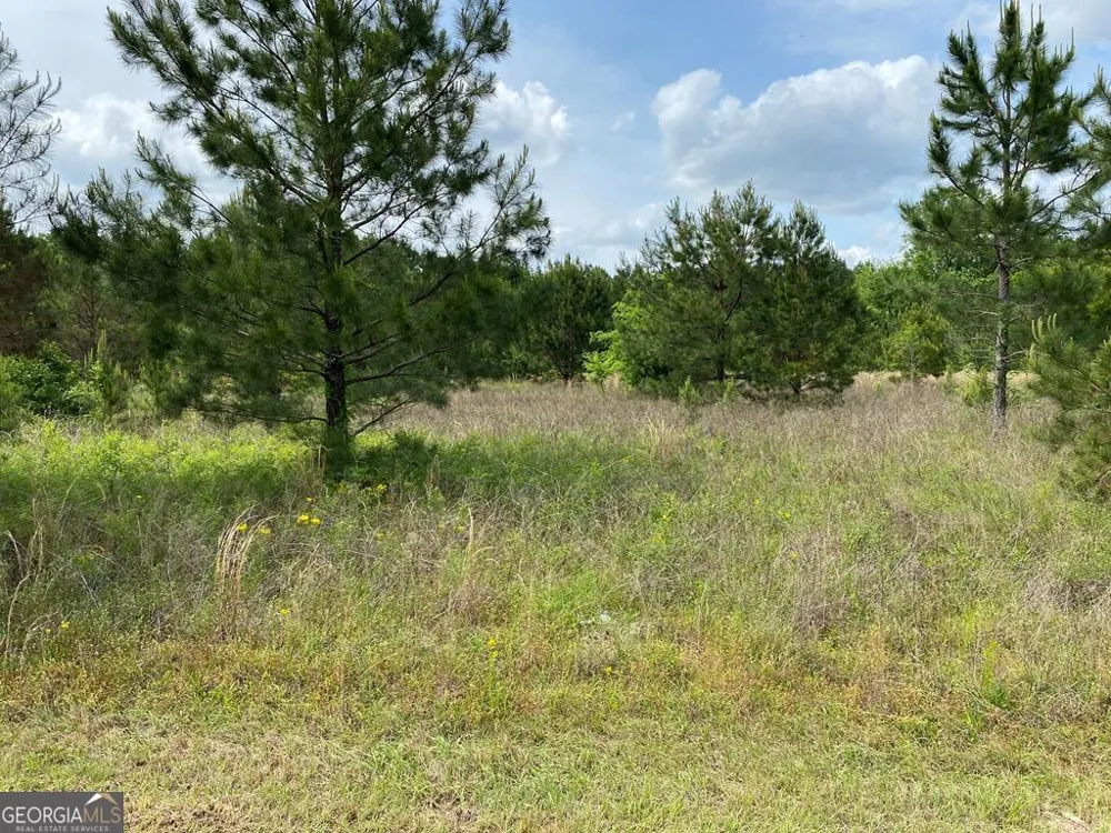 1001-B Holiday RD Dublin, GA 31021