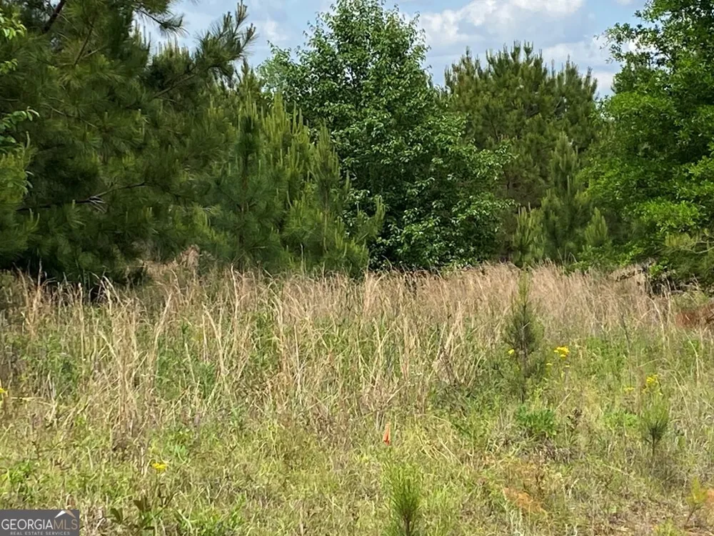 1001-B Holiday RD Dublin, GA 31021