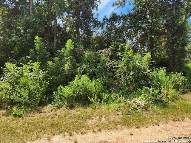 LOT 16 Mayhaw Ln Plantersville, TX 77363