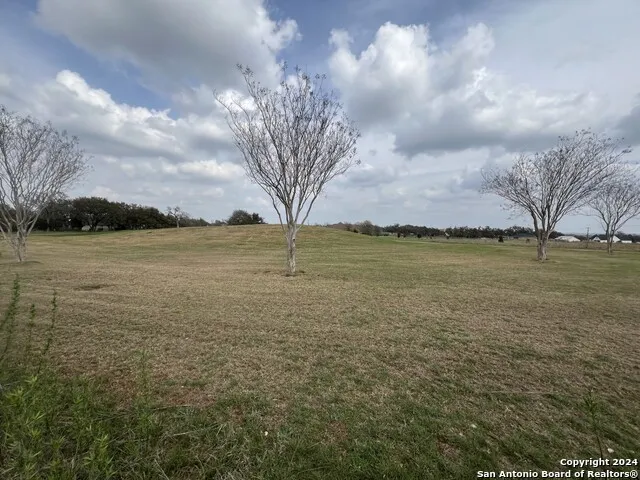 116 Roy Nichols Blanco, TX 78606
