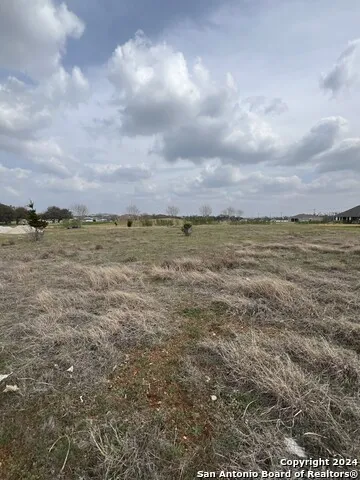 116 Roy Nichols Blanco, TX 78606
