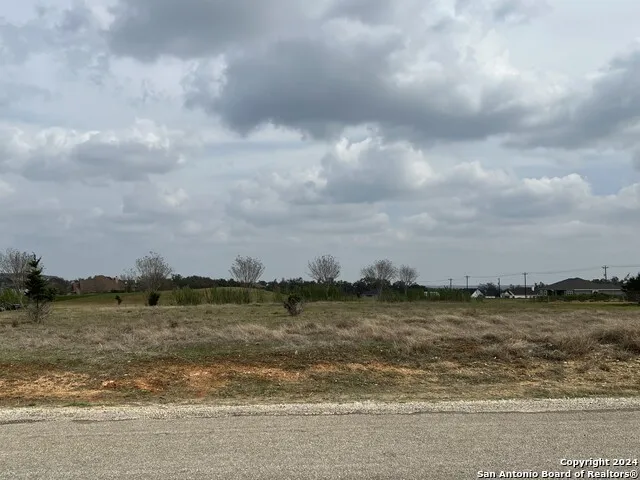 116 Roy Nichols Blanco, TX 78606