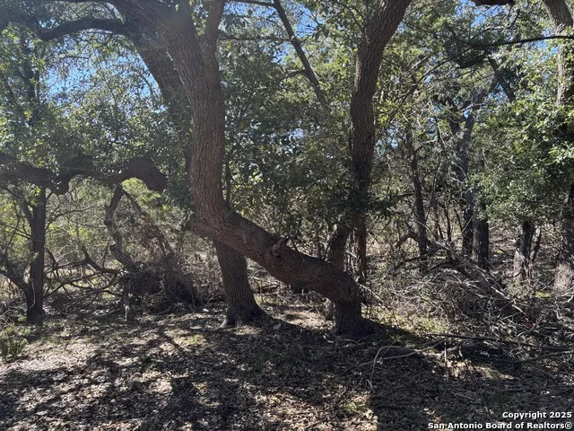 LOT 85 Headwaters Ranch Road Kendalia, TX 78027