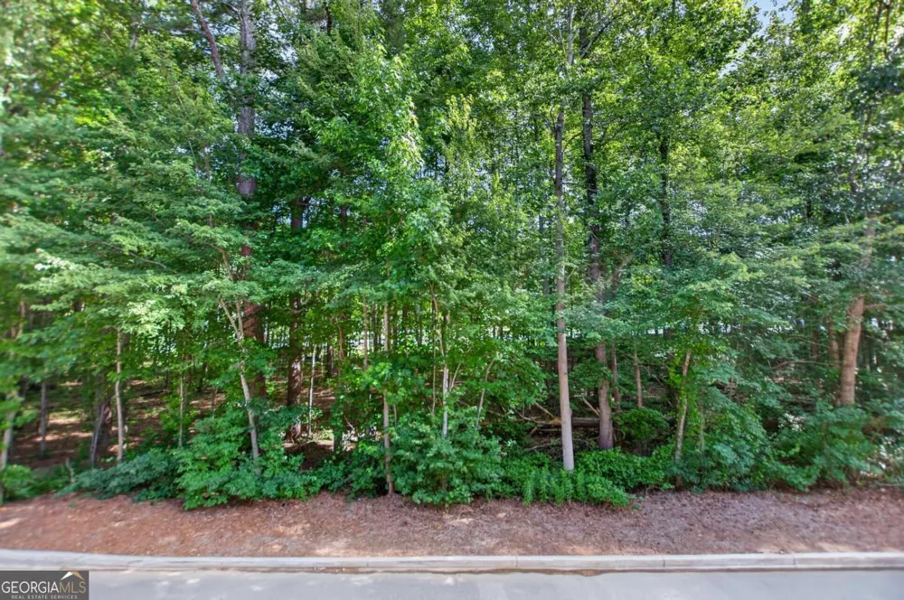 1196 Parktown DR Mableton, GA 30126