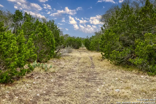 0 0 Rocksprings, TX 78880