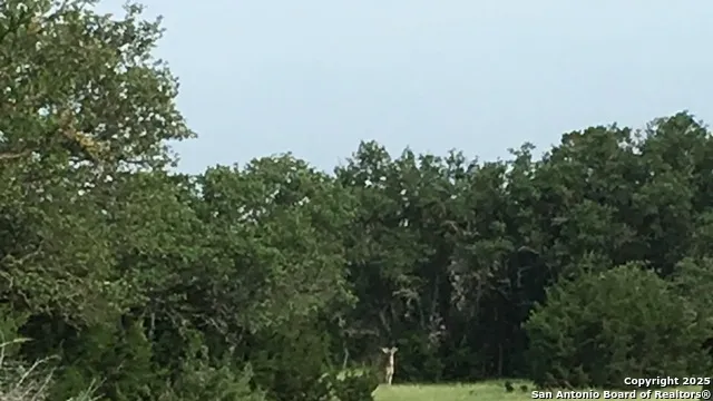 0 0 Rocksprings, TX 78880