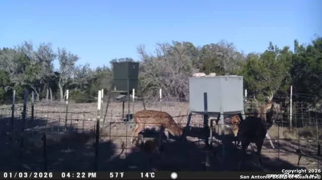 0 0 Rocksprings, TX 78880