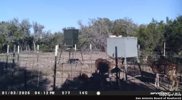 0 0 Rocksprings, TX 78880