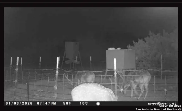 0 0 Rocksprings, TX 78880