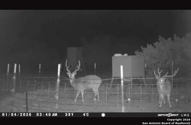 0 0 Rocksprings, TX 78880