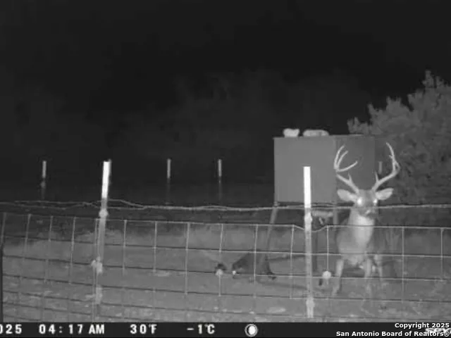 0 0 Rocksprings, TX 78880