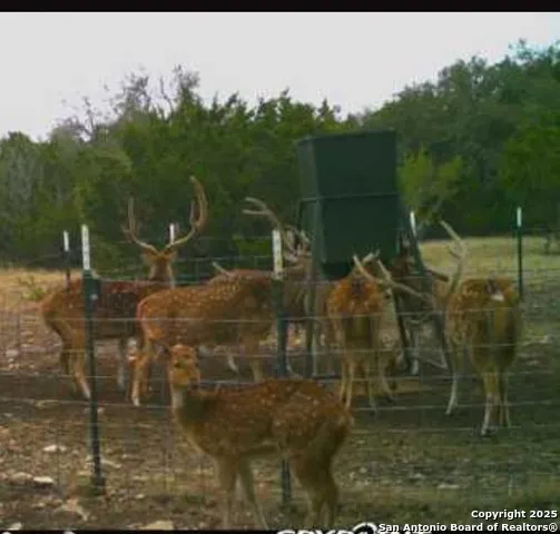 0 0 Rocksprings, TX 78880