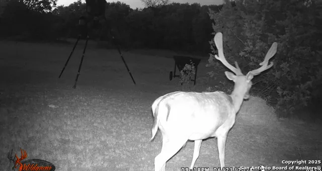 0 0 Rocksprings, TX 78880