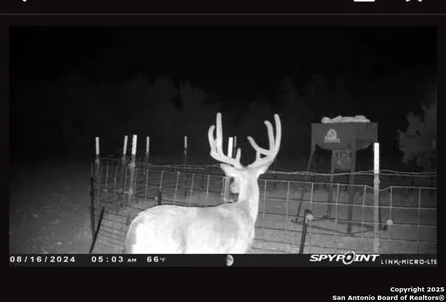 0 0 Rocksprings, TX 78880