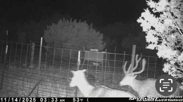 0 0 Rocksprings, TX 78880