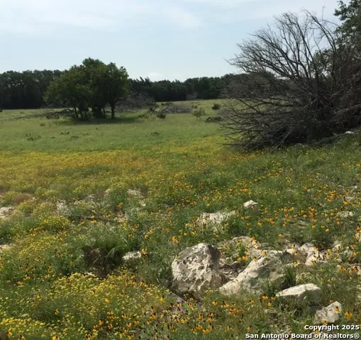 0 0 Rocksprings, TX 78880