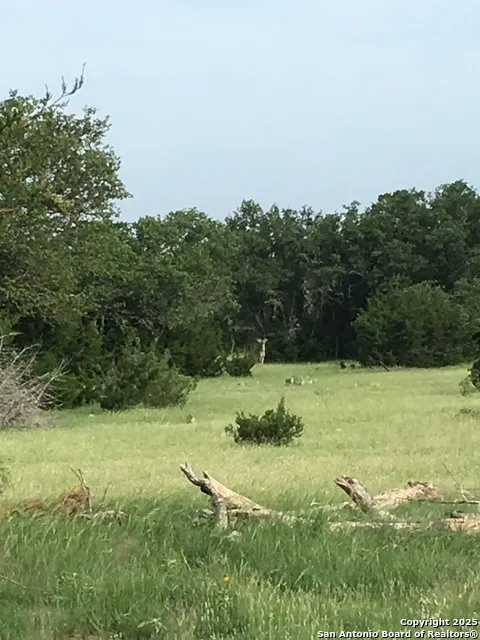 0 0 Rocksprings, TX 78880