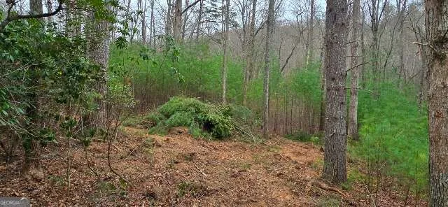 LOT 3-4 Scouts Overlook LN Morganton, GA 30560