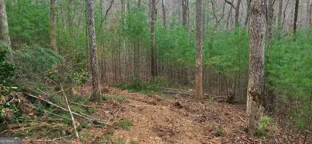 LOT 3-4 Scouts Overlook LN Morganton, GA 30560