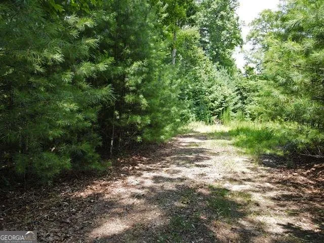 LOT 3-4 Scouts Overlook LN Morganton, GA 30560