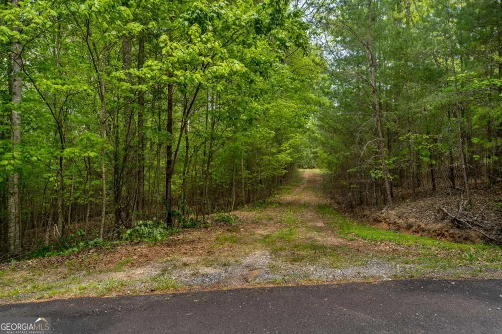 LOT 3-4 Scouts Overlook LN Morganton, GA 30560