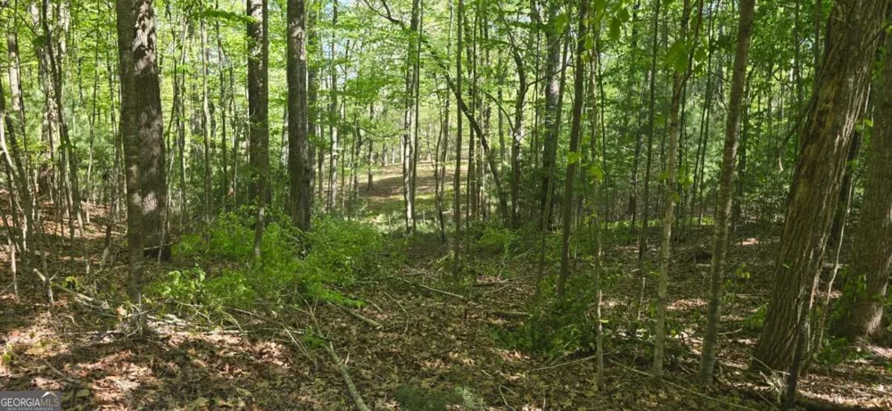 LOT 3-4 Scouts Overlook LN Morganton, GA 30560