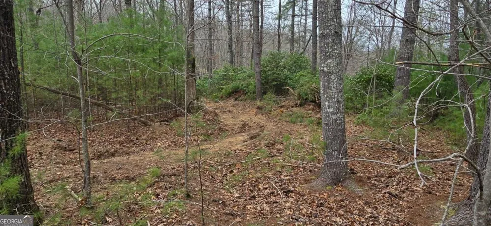 LOT 3-4 Scouts Overlook LN Morganton, GA 30560