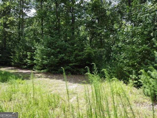 LOT 3-4 Scouts Overlook LN Morganton, GA 30560