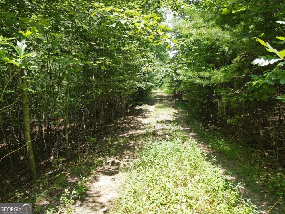 LOT 3-4 Scouts Overlook LN Morganton, GA 30560