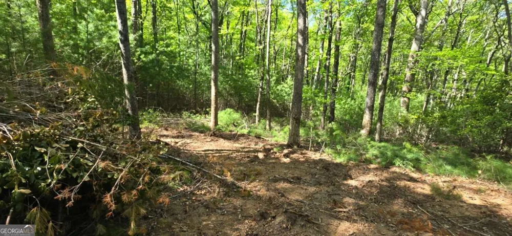 LOT 3-4 Scouts Overlook LN Morganton, GA 30560