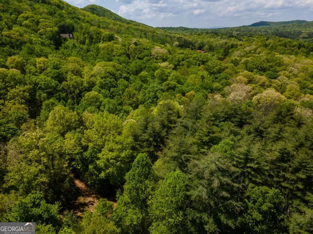 LOT 3-4 Scouts Overlook LN Morganton, GA 30560