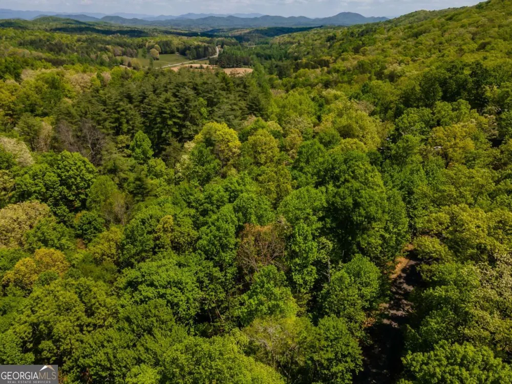LOT 3-4 Scouts Overlook LN Morganton, GA 30560