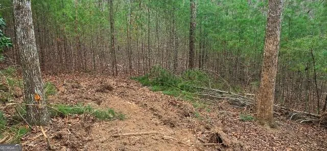 LOT 3-4 Scouts Overlook LN Morganton, GA 30560