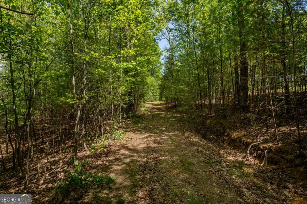 LOT 3-4 Scouts Overlook LN Morganton, GA 30560