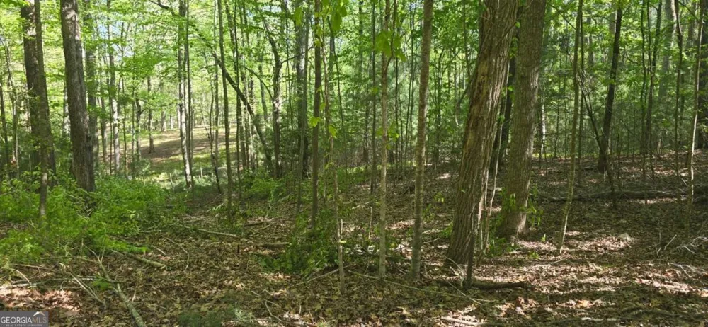 LOT 3-4 Scouts Overlook LN Morganton, GA 30560