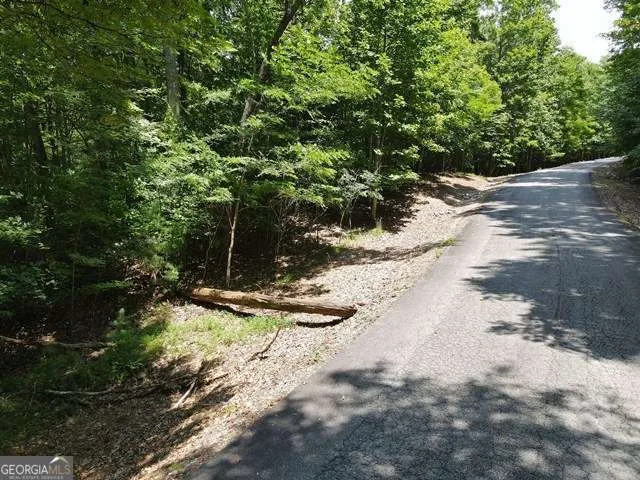 LOT 3-4 Scouts Overlook LN Morganton, GA 30560