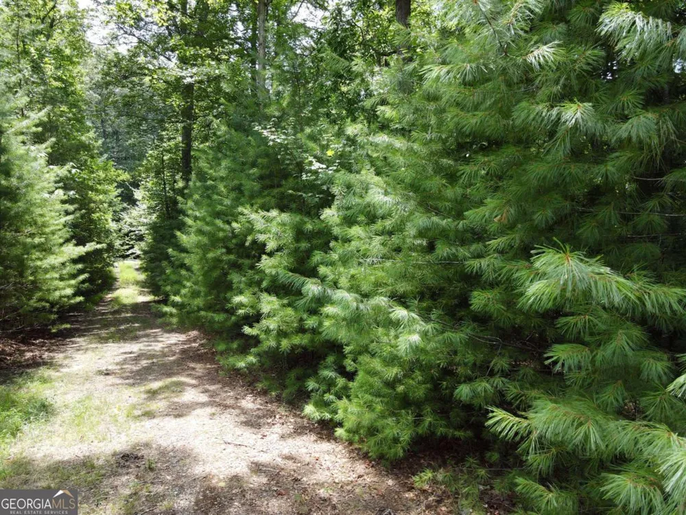 LOT 3-4 Scouts Overlook LN Morganton, GA 30560
