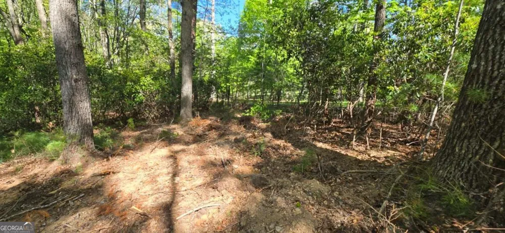 LOT 3-4 Scouts Overlook LN Morganton, GA 30560