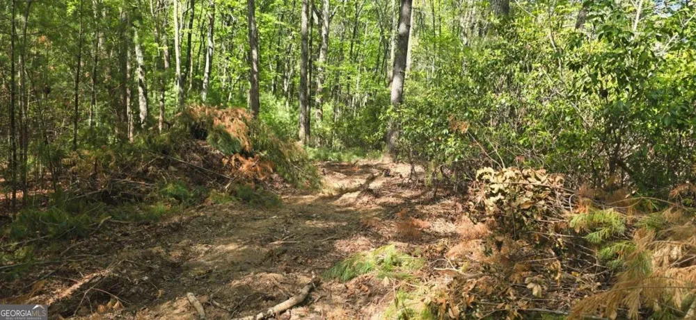 LOT 3-4 Scouts Overlook LN Morganton, GA 30560
