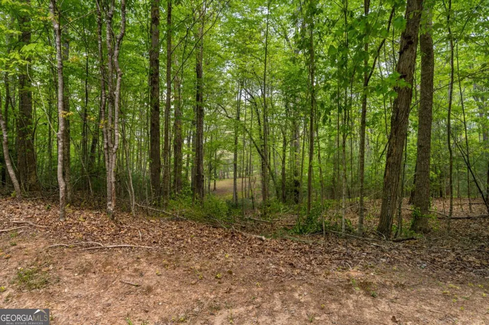 LOT 3-4 Scouts Overlook LN Morganton, GA 30560