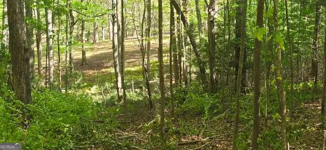LOT 3-4 Scouts Overlook LN Morganton, GA 30560