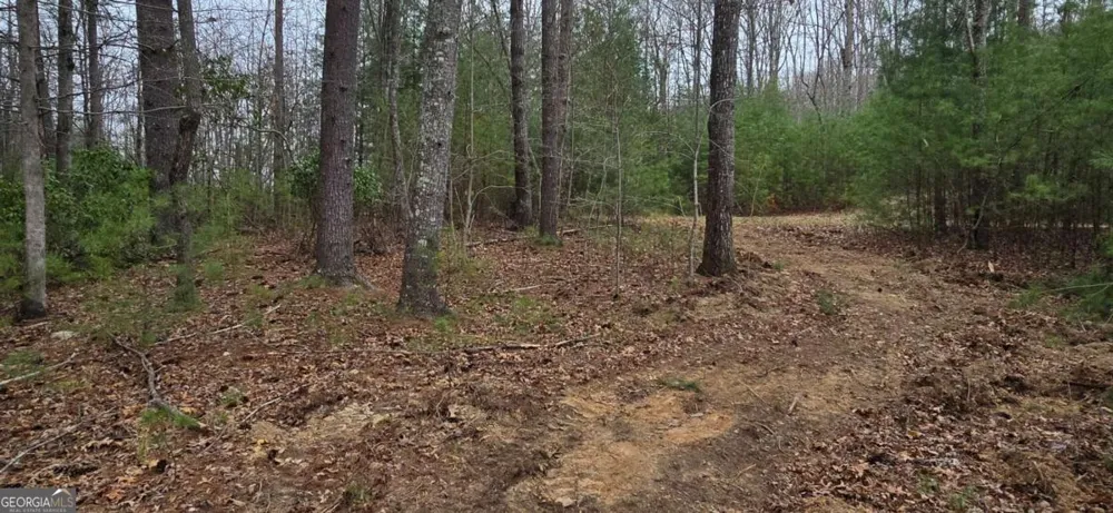 LOT 3-4 Scouts Overlook LN Morganton, GA 30560