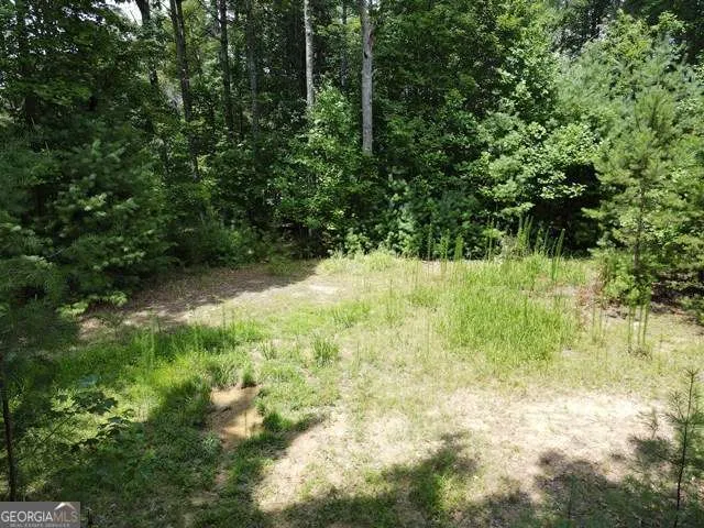 LOT 3-4 Scouts Overlook LN Morganton, GA 30560