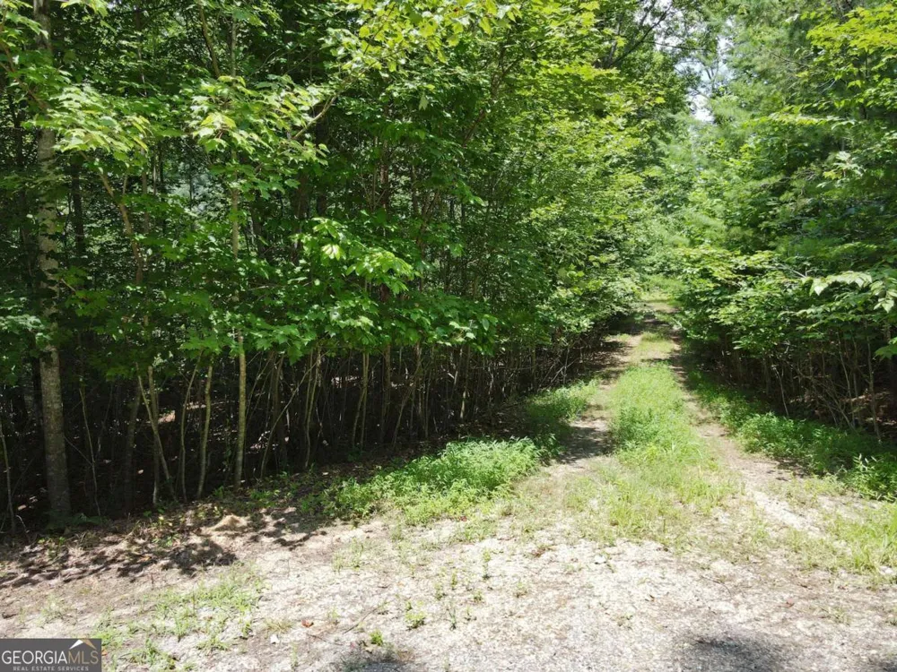 LOT 3-4 Scouts Overlook LN Morganton, GA 30560